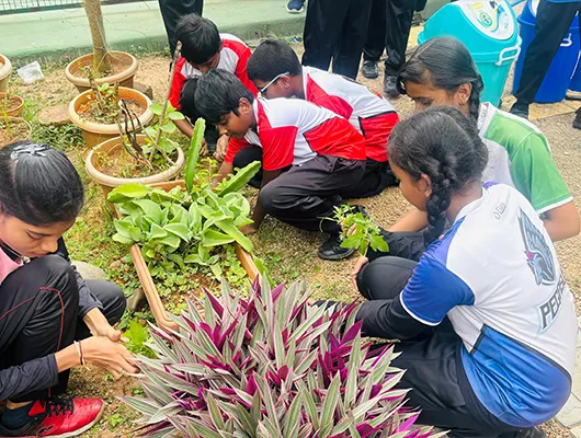 Students of Elate International School